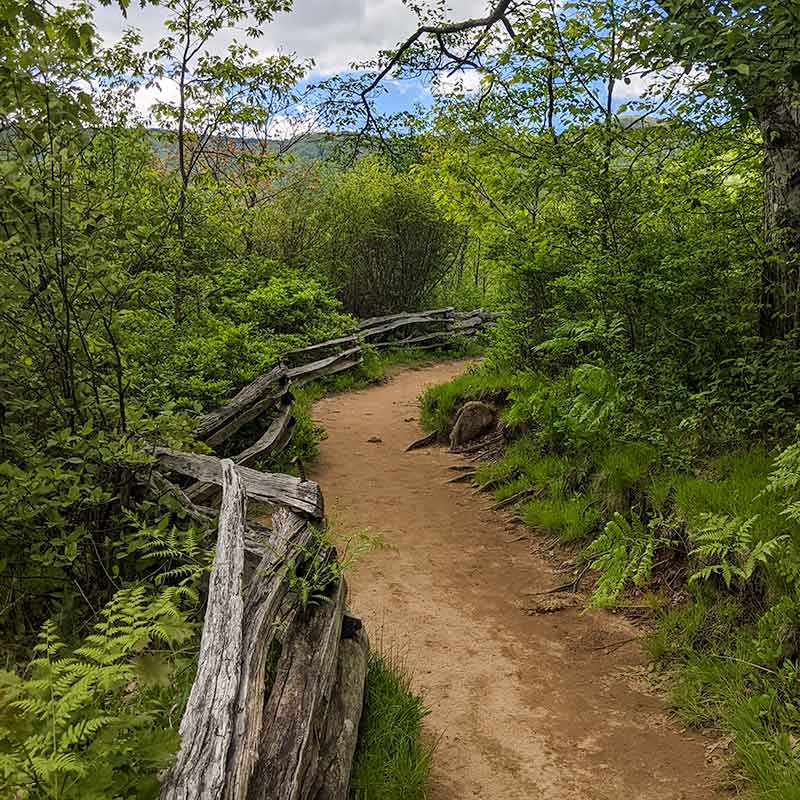 Hiking Trails North Carolina
